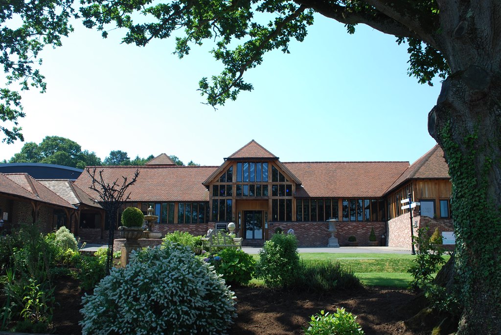 the mysteries of thorn manor the mysteries of thorn manor